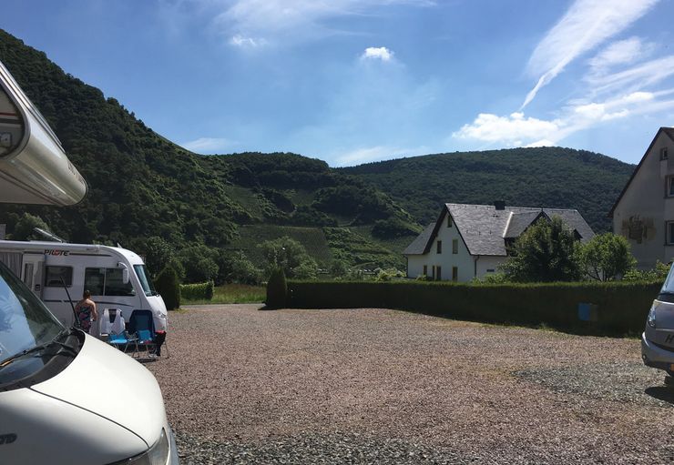 Stellplatz Am Weingut Loosen In Ellenz Poltersdorf Promobil