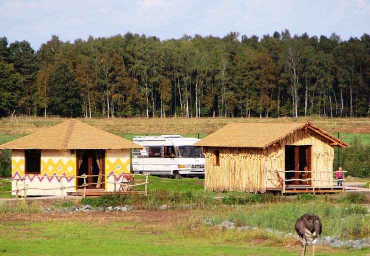Motorhome parking in Serengeti Park in Hodenhagen – promobil