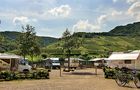 Stellplatz Weingut Oster-Franzen in Bremm, Bild 2