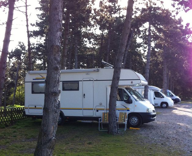 Stellplatz Camping Am Niobe in Fehmarn