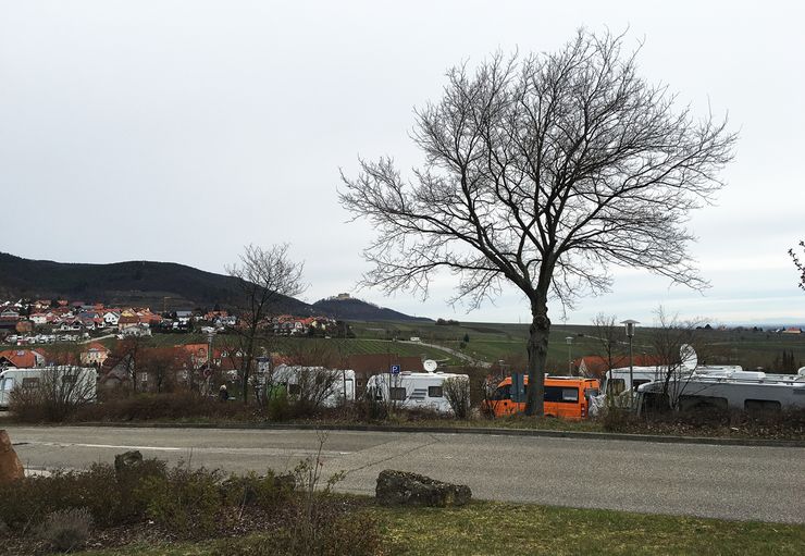 RV park Edenkobener Straße in St. Martin – promobil