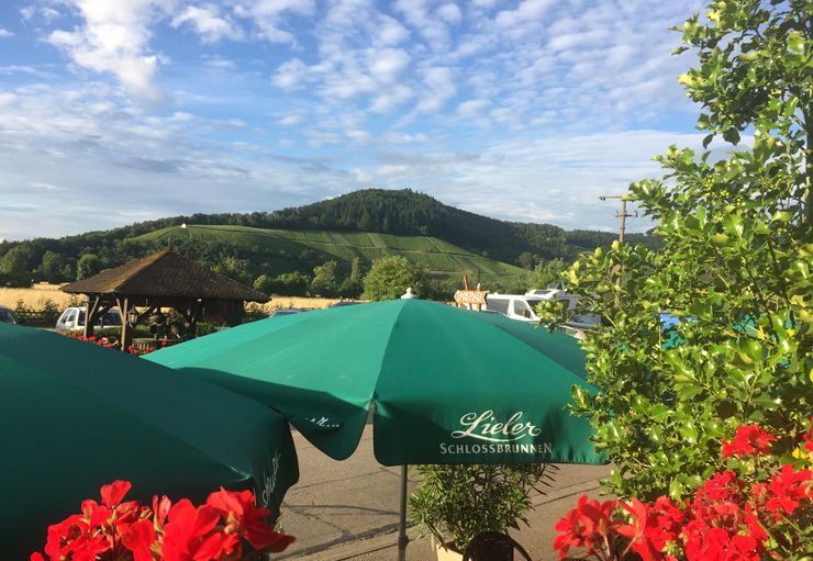 Wohnmobilstellplatz am Gasthof Grüner Baum (kostenlos) in