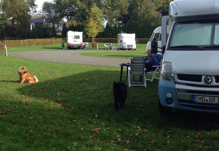 Wohnmobilstellplatz am Campingpark in Reken promobil