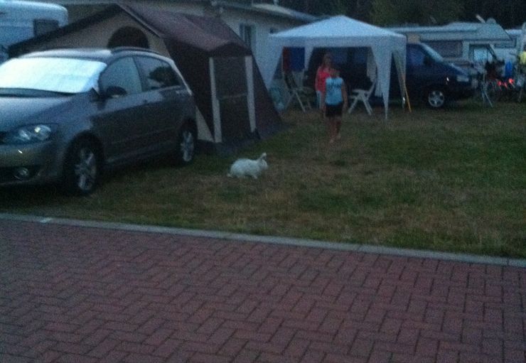 Wohnmobilpark Boltenhagen Banana Jack in Boltenhagen promobil