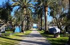 Playa Montroig Camping Resort in La Torre del Sol, Bild 2