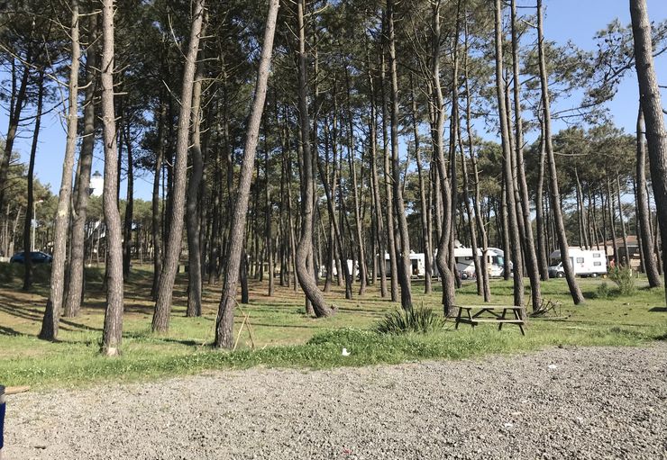 Aire du Camping-Car du Phare in Saint-Julien-en-Born – promobil