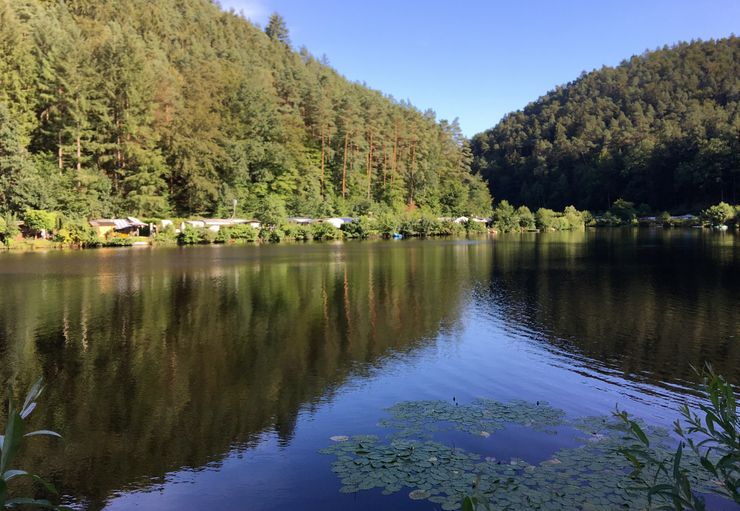 Campingplatz Neudahner Weiher (nur für Erwachsene) in Dahn Caravaning