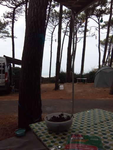Camping Panorama du Pyla in La Teste-de-Buch