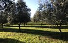 Sosta Camper Jennery Farm in Lecce, Bild 2