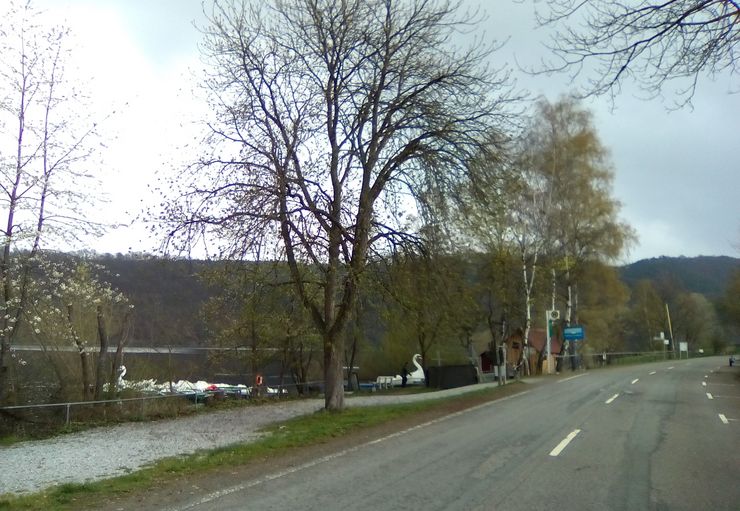 Motorhome parking inn to the ferry in Vöhl – promobil