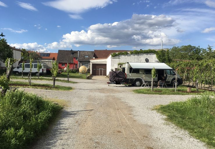 Motorhome parking at the winery Stefan Meyer in Rhodt under Rietburg – promobil