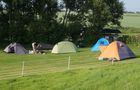 Stellplatz Camping Seegatten in Pellworm, Bild 3