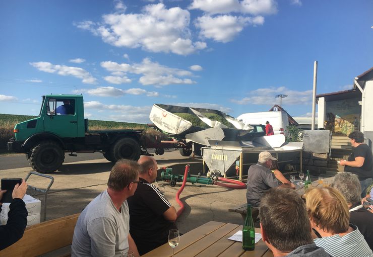 Wohnmobilstellplatz am Weingut Mangold in Dettelbach promobil