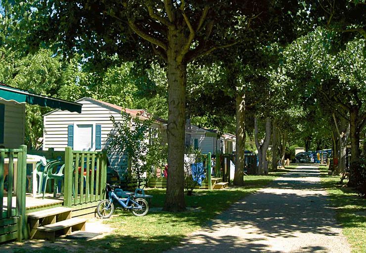 Camping Nature Parc L-Ardéchois in Vallon-Pont-d'Arc – promobil