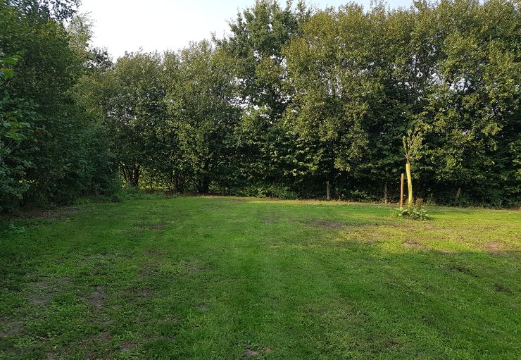 Poolzubehr Bei Hornbach Kaufen