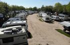 Stellplatz am Camping Strukkamphuk in Fehmarn, Bild 2