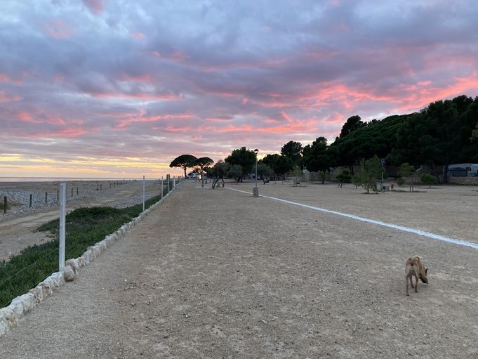 Camping Cala d'Oques in Hospitalet del