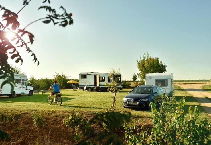 Motorhome parking at the vineyard Rogenwieser in Kirchheim an der Weinstraße – promobil