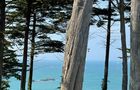 Camping Des Chevrets in Saint-Coulomb, Bild 3