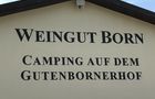 Camping auf dem Gutenbornerhof in Alzey, Bild 4