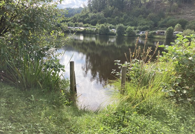 Campingplatz Neudahner Weiher (nur für Erwachsene) in Dahn Caravaning