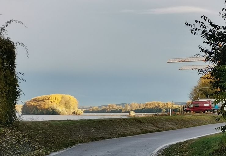 Parkplatz Mainzer Straße in Bingen am Rhein promobil