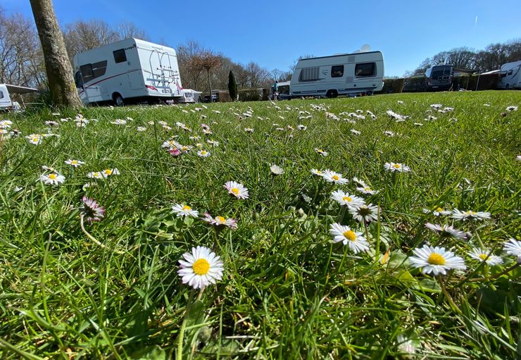 Zimdars CampingResort in Cuxhaven – promobil