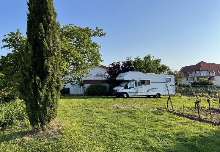 Motorhome parking at Weingut Schäfer (free of charge) in Edenkoben – promobil