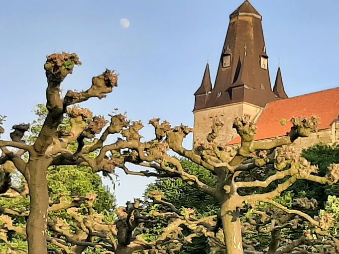 Wohnmobilstellplatz am Schlosspark in Bad Bentheim promobil