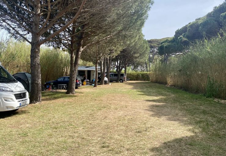 Camping Eucalyptus in Ramatuelle Caravaning