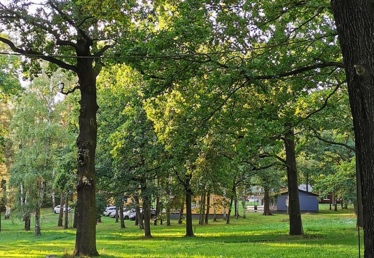 Holiday Village & Campsite Bad Sonnenland in Moritzburg – promobil