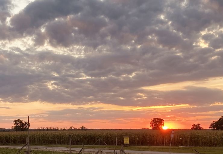 Motorhome parking at asparagus farm Klaistow in Beelitz – promobil