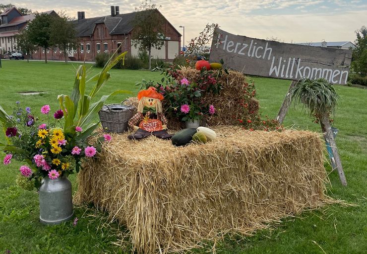 Good New Sacro (free) in Forst (Lausitz) – promobil