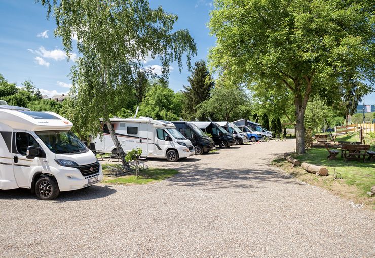 Motorhome parking Weinhof Martin in Eltville – promobil