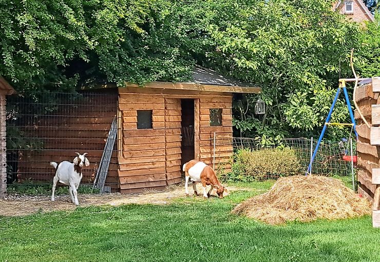 Motorhome site Ziegenblick in Schneverdingen – promobil