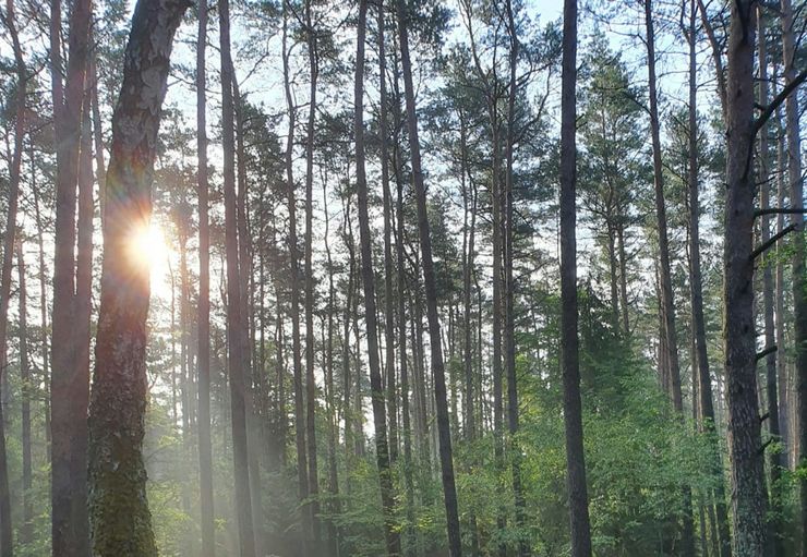 Hammer a.d. Uecker in Hammer a. d. Uecker promobil