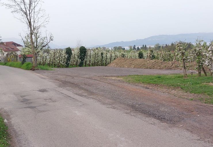 Wohnmobilstellplatz im Obstgarten in Lindau (Bodensee) – promobil - Main photo