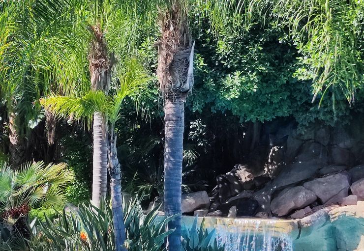 Camping-Caravaning la Siesta (free) in Salou – promobil