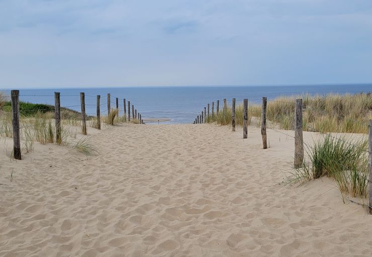 Molecaten Park Noordduinen (cost loss) in Katwijk aan Zee