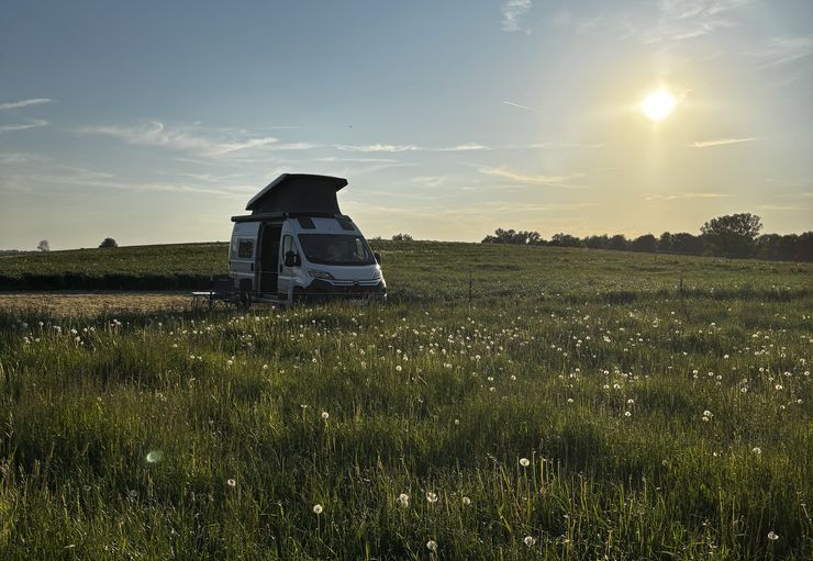 Camping in Risstal - Between Camper and Zottelvieh in Laupheim – promobil